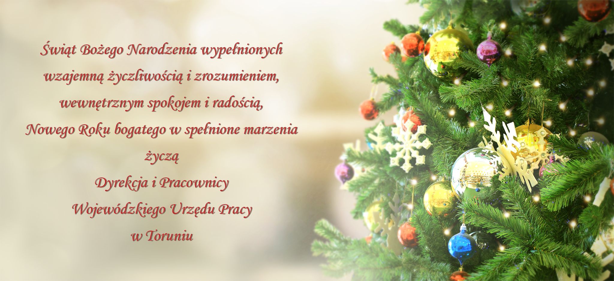 Świąt Bożego Narodzenia wypełnionych wzajemną życzliwością i zrozumieniem, wewnętrznym spokojem i radością, Nowego Roku bogatego w spełnione marzenia życzą Dyrekcja i Pracownicy Wojewódzkiego Urzędu Pracy w Toruniu w Toruniu