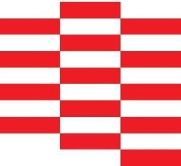 Zdjęcie artykułu Konkurs ”Pracodawca Pomorza i Kujaw 2019”