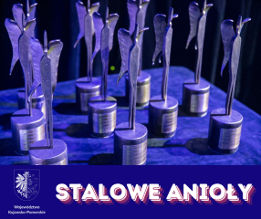 Zdjęcie artykułu Zgłoszenia do nagród "Stalowe Anioły"